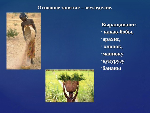 Основное занятие – земледелие.   Выращивают: