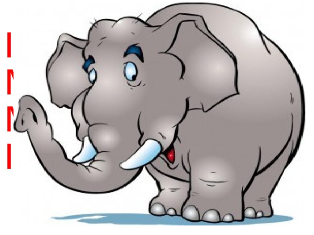      I’m big. I’m grey.  My nose is long.  My tail is short  I’m an … .    