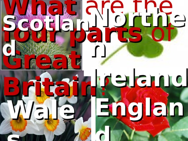 What are the four  parts of Great  Britain ? Northen  Ireland Scotland England Wales  