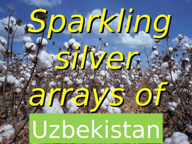  Sparkling silver arrays of cotton fields  Uzbekistan  