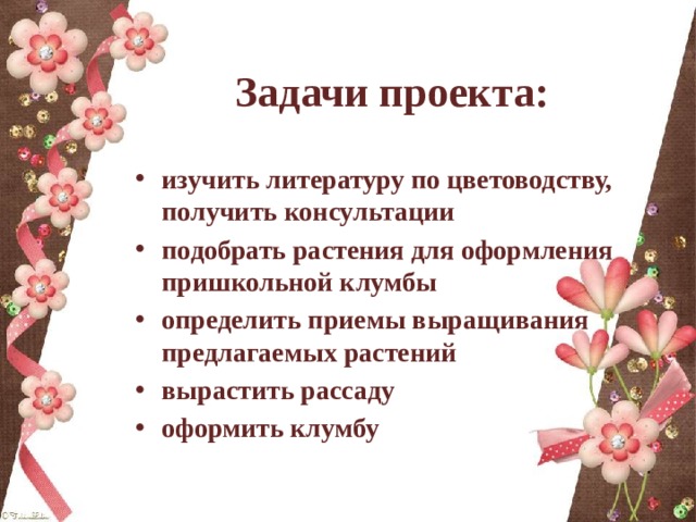 Задачи проекта: изучить литературу по цветоводству, получить консультации подобрать растения для оформления пришкольной клумбы определить приемы выращивания предлагаемых растений вырастить рассаду оформить клумбу 