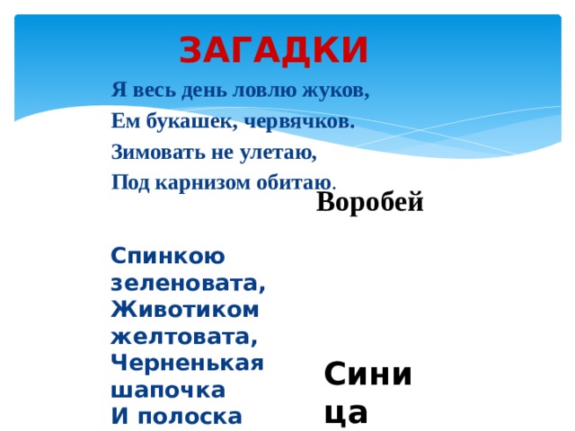 ЗАГАДКИ Я весь день ловлю жуков, Ем букашек, червячков. Зимовать не улетаю, Под карнизом обитаю . Воробей Спинкою зеленовата, Животиком желтовата, Черненькая шапочка И полоска шарфика. Синица 