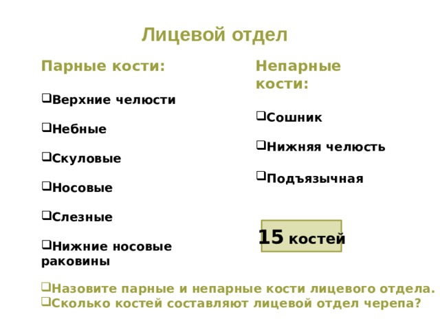 Лицевой отдел Парные кости: Непарные кости:   Сошник Верхние челюсти   Нижняя челюсть Небные   Подъязычная  Скуловые  Носовые  Слезные  Нижние носовые раковины 15  костей Назовите парные и непарные кости лицевого отдела. Сколько костей составляют лицевой отдел черепа? 