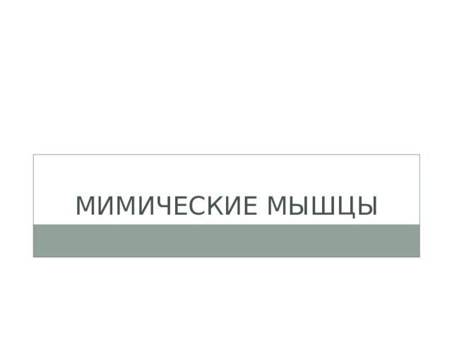 Мимические мышцы 