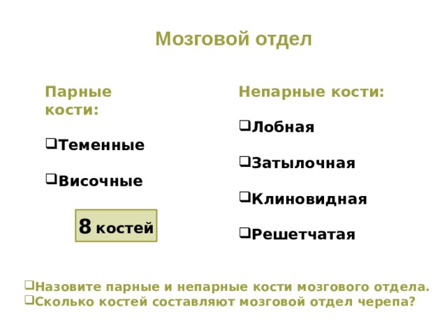 Мозговой отдел Непарные кости: Парные кости:   Лобная Теменные   Затылочная Височные  Клиновидная  Решетчатая  8  костей Назовите парные и непарные кости мозгового отдела. Сколько костей составляют мозговой отдел черепа? 