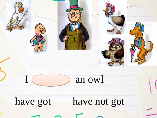 I an owl have got have not got 