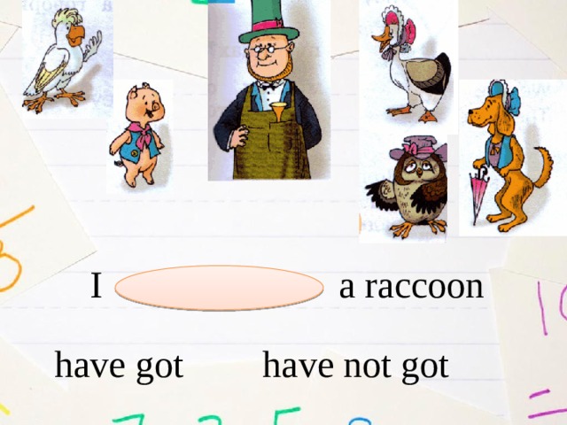 I a raccoon have got have not got 