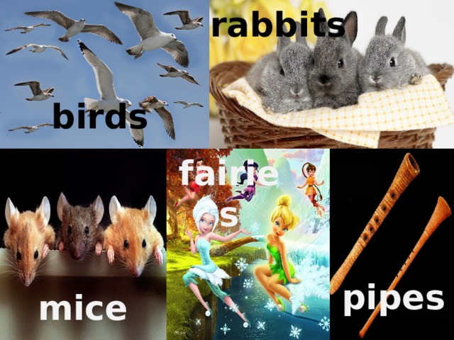 rabbits birds fairies pipes mice 
