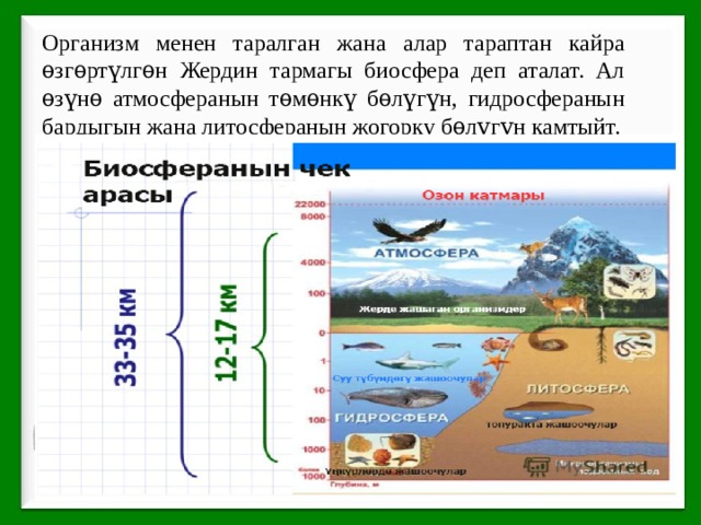 Организм менен таралган жана алар тараптан кайра ѳзгѳртүлгѳн Жердин тармагы биосфера деп аталат. Ал ѳзүнѳ атмосферанын тѳмѳнкү бѳлүгүн, гидросферанын бардыгын жана литосферанын жогорку бѳлүгүн камтыйт. 