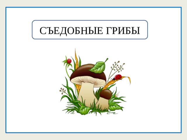 СЪЕДОБНЫЕ ГРИБЫ 