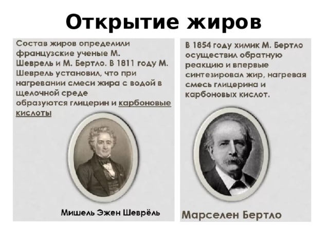 Открытие жиров 