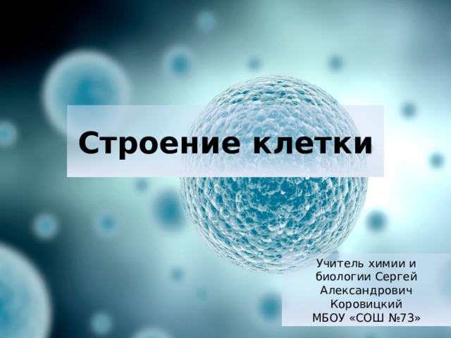 Строение клетки Учитель химии и биологии Сергей Александрович Коровицкий МБОУ «СОШ №73» 