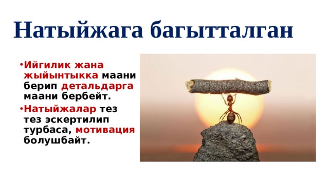 Натыйжага багытталган  Ийгилик жана жыйынтыкка маани берип детальдарга маани бербейт. Натыйжалар тез тез эскертилип турбаса, мотивация болушбайт. 