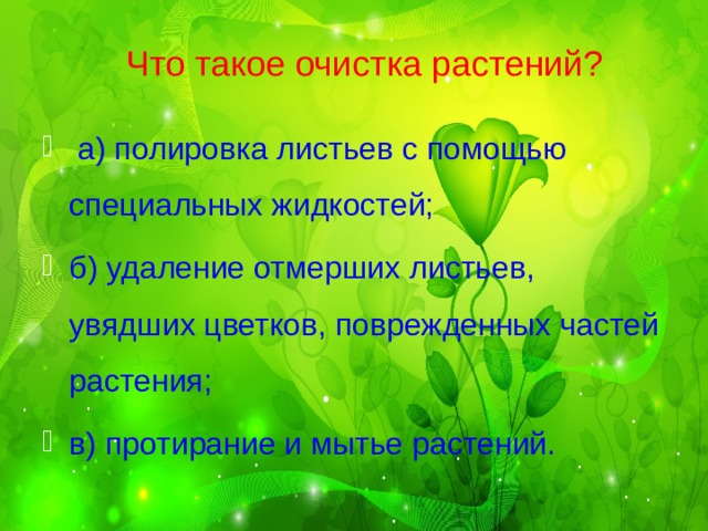 Что такое очистка растений?  а) полировка листьев с помощью специальных жидкостей; б) удаление отмерших листьев, увядших цветков, поврежденных частей растения; в) протирание и мытье растений.  