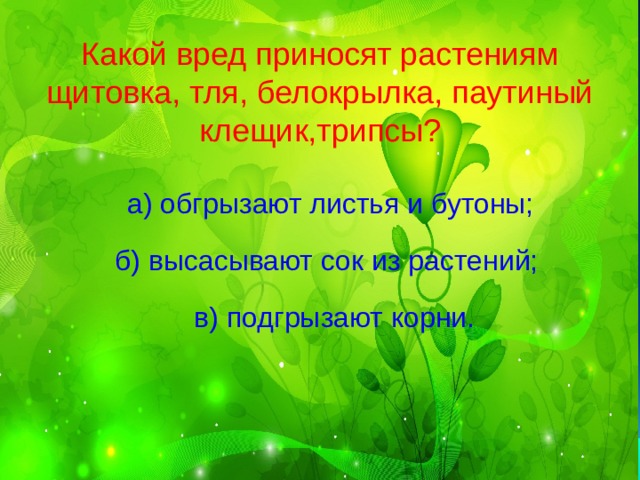 Какой вред приносят растениям щитовка, тля, белокрылка, паутиный клещик,трипсы?   а) обгрызают листья и бутоны; б) высасывают сок из растений;  в) подгрызают корни. 