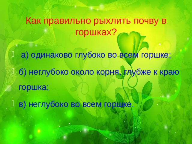 Как правильно рыхлить почву в горшках?  а) одинаково глубоко во всем горшке; б) неглубоко около корня, глубже к краю горшка; в) неглубоко во всем горшке. 