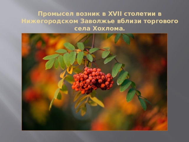 Промысел возник в XVII столетии в Нижегородском Заволжье вблизи торгового села Хохлома. 