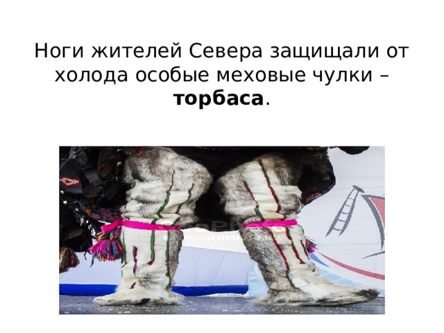 Ноги жителей Севера защищали от холода особые меховые чулки – торбаса . 