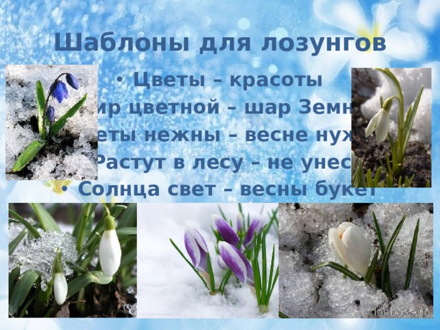 Шаблоны для лозунгов Цветы – красоты Мир цветной – шар Земной Цветы нежны – весне нужны Растут в лесу – не унесу Солнца свет – весны букет 