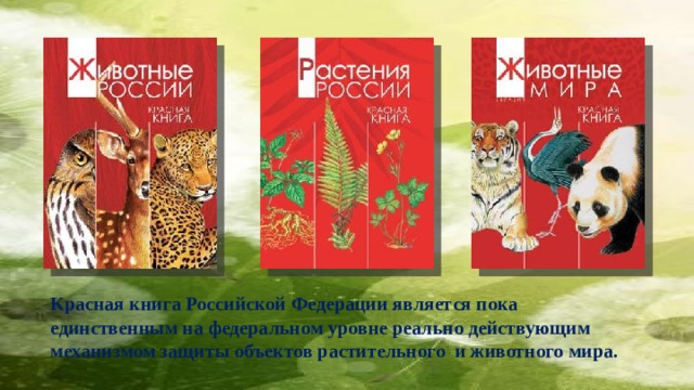 Красная книга Российской Федерации является пока единственным на федеральном уровне реально действующим механизмом защиты объектов растительного и животного мира. 