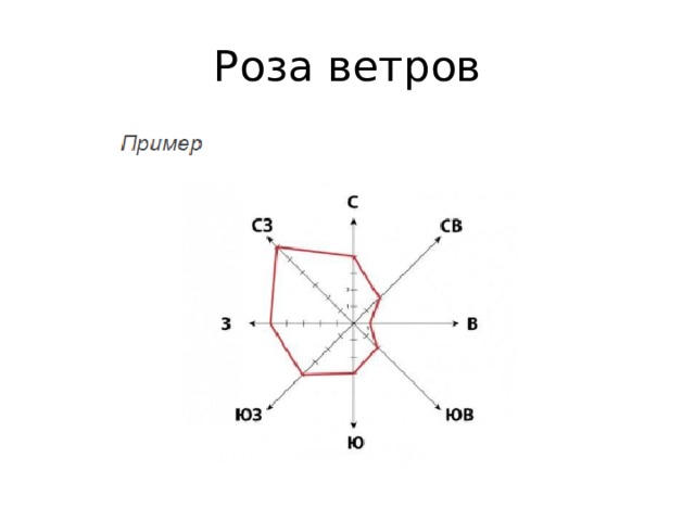 Роза ветров 