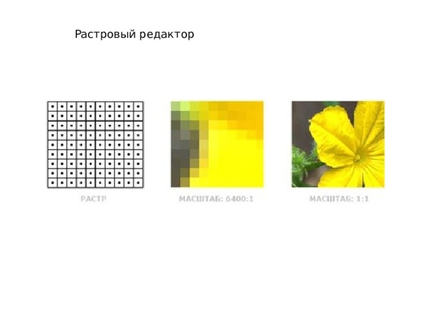 Растровый редактор 