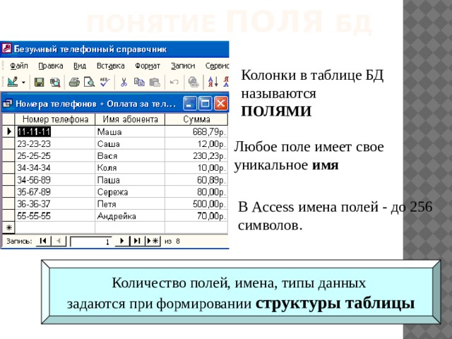 Тип поля определяется типом данных, которые оно содержит. Поля могут содержать данные следующих основных типов: счетчик  — целые числа, которые задаются автоматически при вводе записей. Эти числа не могут быть изменены пользователем; текстовый  — тексты, содержащие до 255 символов; числовой — числа; дата/время  — дата или время; денежный  — числа в денежном формате; логический  — значения Истина (Да) или Ложь (Нет); гиперссылка  — ссылки на информационный ресурс в Интернете (например, Web-сайт). 