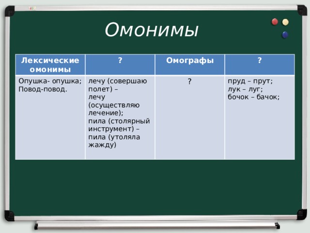 Омонимы Лексические омонимы ? Опушка- опушка; Повод-повод. лечу (совершаю полет) –   лечу (осуществляю лечение); Омографы пила (столярный инструмент) –  пила (утоляла жажду) ? ? пруд – прут; лук – луг; бочок – бачок; 