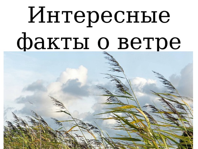 Интересные факты о ветре 