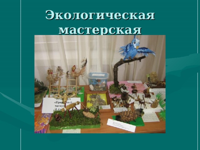 Экологическая мастерская 