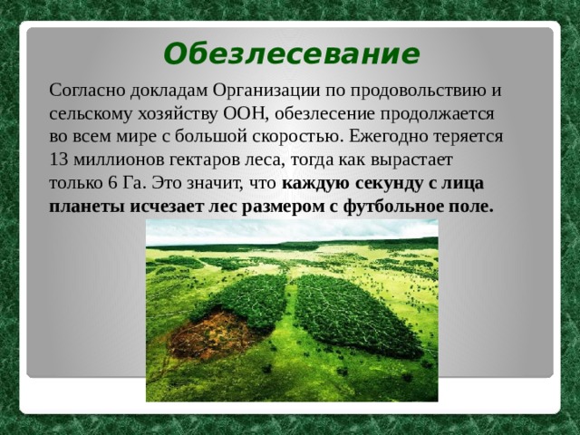 Обезлесевание Согласно докладам Организации по продовольствию и сельскому хозяйству ООН, обезлесение продолжается во всем мире с большой скоростью. Ежегодно теряется 13 миллионов гектаров леса, тогда как вырастает только 6 Га. Это значит, что  каждую секунду с лица планеты исчезает лес размером с футбольное поле. 