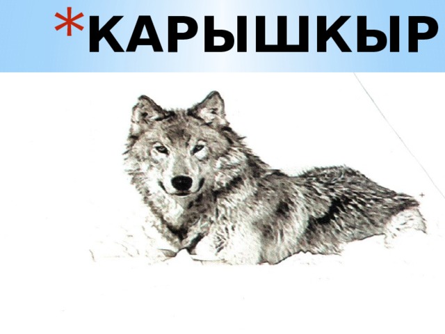 КАРЫШКЫР 