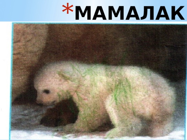 МАМАЛАК 