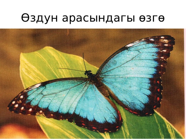 Өздун арасындагы өзгө 