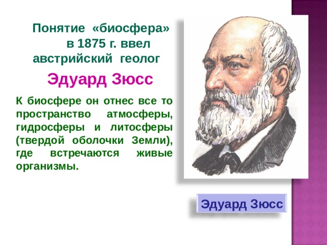  Понятие «биосфера»  в 1875 г. ввел австрийский геолог  Эдуард Зюсс К биосфере он отнес все то пространство атмосферы, гидросферы и литосферы (твердой оболочки Земли), где встречаются живые организмы. Эдуард Зюсс 