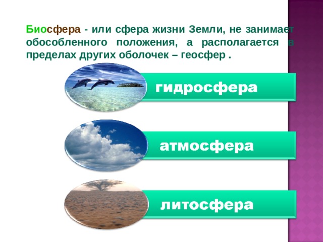 Био сфера  - или сфера жизни Земли, не занимает обособленного положения, а располагается в пределах других оболочек – геосфер . 