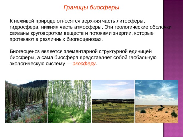 Границы биосферы К неживой природе относятся верхняя часть литосферы, гидросфера, нижняя часть атмосферы. Эти геологические оболочки связаны круговоротом веществ и потоками энергии, которые протекают в различных биогеоценозах. Биогеоценоз является элементарной структурной единицей биосферы, а сама биосфера представляет собой глобальную экологическую систему — экосферу . 3 