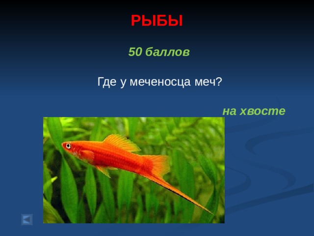 РЫБЫ      50 баллов   Где у меченосца меч?  на хвосте  