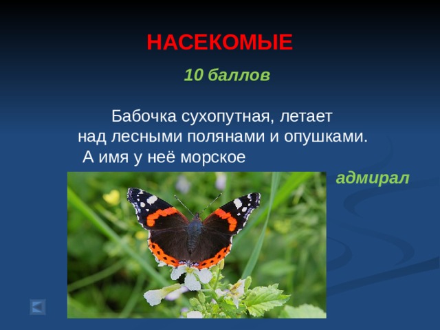  НАСЕКОМЫЕ   10 баллов   Бабочка сухопутная, летает  над лесными полянами и опушками.  А имя у неё морское адмирал  