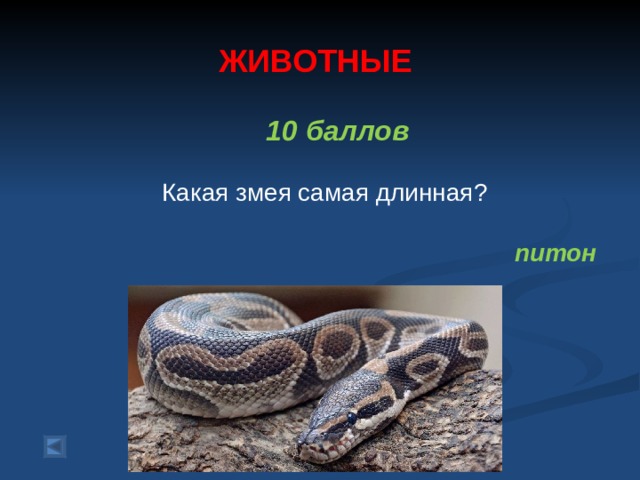  ЖИВОТНЫЕ   10 баллов    Какая змея самая длинная?  питон   