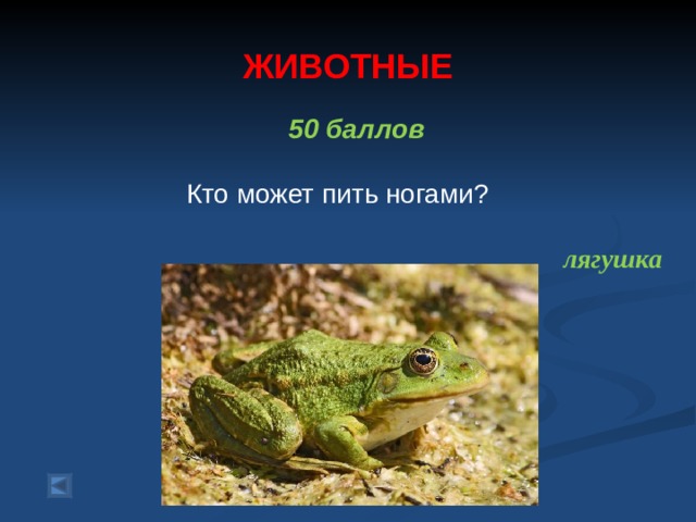  ЖИВОТНЫЕ   50 баллов   Кто может пить ногами? лягушка  