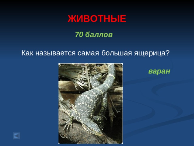 ЖИВОТНЫЕ   70 баллов   Как называется самая большая ящерица? варан  