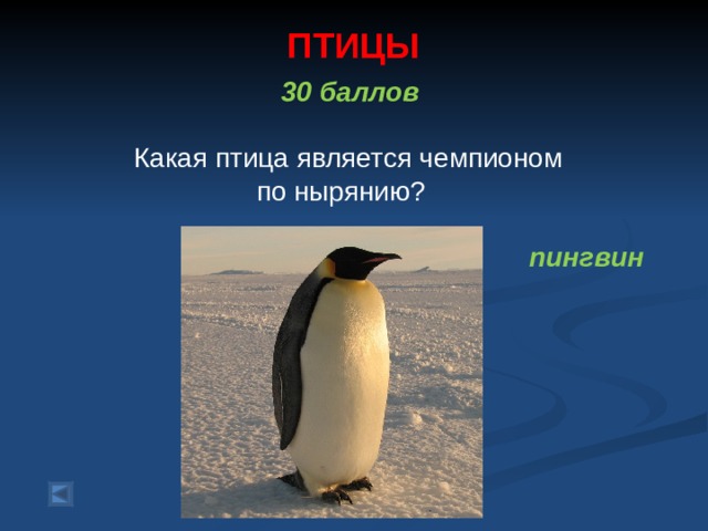 ПТИЦЫ   30 баллов   Какая птица является чемпионом  по нырянию?  пингвин  