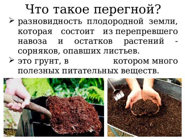 Что такое перегной? разновидность плодородной земли, которая состоит из перепревшего навоза и остатков растений - сорняков, опавших листьев. это грунт, в котором много полезных питательных веществ. 