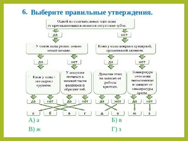 6. Выберите правильные утверждения. А) а     Б) в В) ж     Г) з 