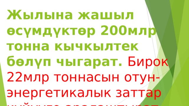 Жылына жашыл өсүмдүктөр 200млр тонна кычкылтек бөлүп чыгарат. Бирок 22млр тоннасын отун-энергетикалык заттар күйүүгө аралаштырат. 