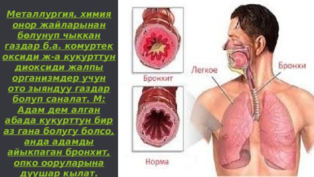  Металлургия, химия онор жайларынан б ѳ лунуп чыккан газдар б.а. комуртек оксиди ж-а кукурттун диоксиди жалпы организмдер учун ото зыяндуу газдар болуп саналат. М: Адам дем алган абада кукурттун бир аз гана болугу болсо, анда адамды айыкпаган бронхит, опко ооруларына дуушар кылат. 