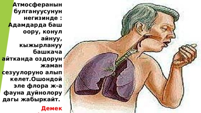 Атмосферанын булгануусунун негизинде : Адамдарда баш оору, конул айнуу, кыжырлануу башкача айтканда оздорун жаман сезуулоруно алып келет.Ошондой эле флора ж-а фауна дуйнолору дагы жабыркайт. Демек атмосфераны коргоо адам баласынын негизги милдети . 