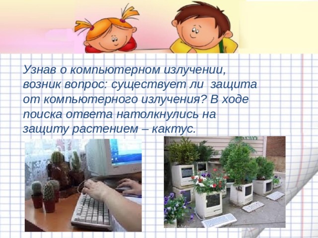 Узнав о компьютерном излучении, возник вопрос: существует ли защита от компьютерного излучения? В ходе поиска ответа натолкнулись на защиту растением – кактус. 