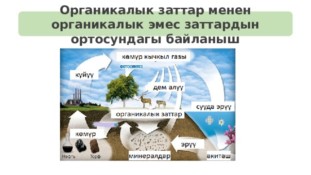 Органикалык заттар менен органикалык эмес заттардын ортосундагы байланыш 